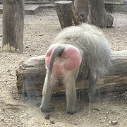 Lakil连连