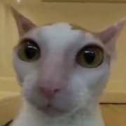 逆风小丶