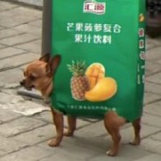 新手一个别打我