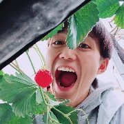 想去嘉兴看海