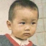 江边青涩的柳树