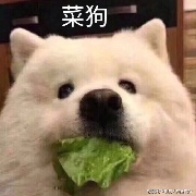 大哈笨