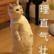 我买几个橘子去-