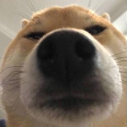 我钢哥