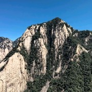 无忧无虑的舰长