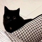 用户031039bdzdd1
