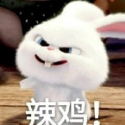 雪狼破军