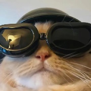 靳靳