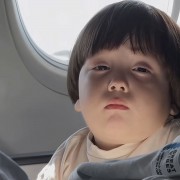 养只进口猫