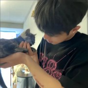 梨花诗TvT