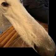 用户82868vtdnft