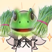 青蛙kingking