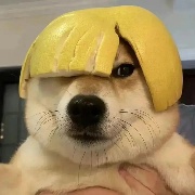 就爱静步养生