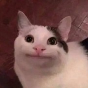 6657的dank1ng本人