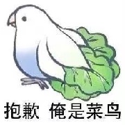 洛圣都肘击大王