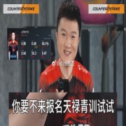 战略家259