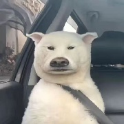 失恋的第9855天