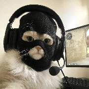 澳澳想打csgo