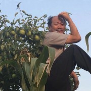 象牙山狙鸡手广鲲