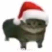 她毕业照给我看