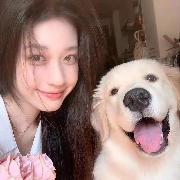 驯龙之高高高手