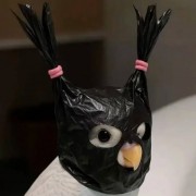 儆猴的鸡出头的鸟