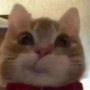 EEEEEEEEEAAA