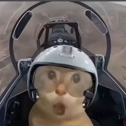 依旧马枪10086