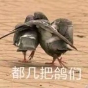 比奇堡邪恶水母