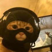 Orange不是唯一水果