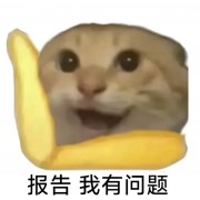 领克-lihaonan