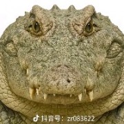 我要成为cs糕首