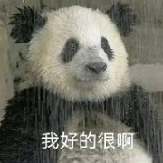 小熊猫要重拳出击