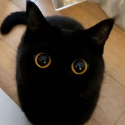 给你塞颗雷