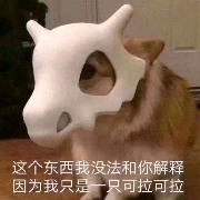 我只是一只可拉