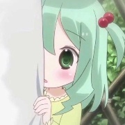 小小的太华