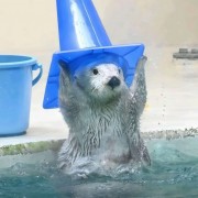 别的女的计算机