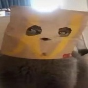 不知所云的靴子猫