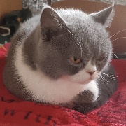 一枝先破云溪春