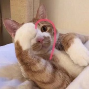 吃饭不要吧唧嘴22