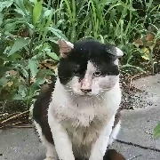 你脸上有面包渣