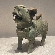 今天一条蛆