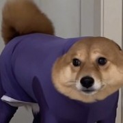 耳聋眼瞎手抖心慌