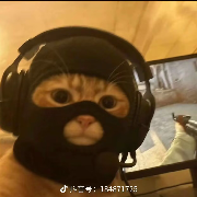 比奇堡牌派大星