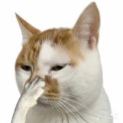 紧倒叫唤