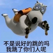 天台怎么就我一人