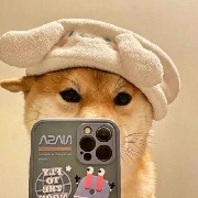 那这样很有生活了