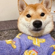 比奇堡Mars