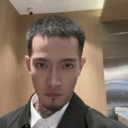 豫上皇叶总