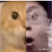 6657留学霸凌总监